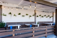 Mendicino Farms outdoor seating with lighting